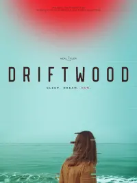 Poster to the movie "Driftwood" #427242