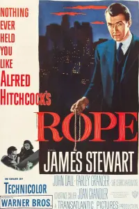 Poster to the movie "Rope" #339869