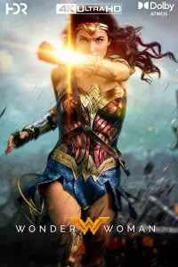 Poster to the movie "Wonder Woman" #230962