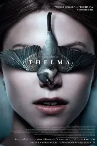 Poster to the movie "Thelma" #128686