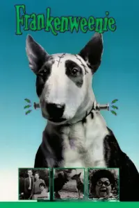 Poster to the movie "Frankenweenie" #588339