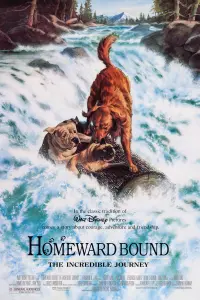 Poster to the movie "Homeward Bound: The Incredible Journey" #251063