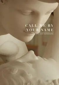 Poster to the movie "Call Me by Your Name" #37240