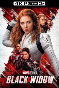 Poster to the movie "Black Widow" #23599