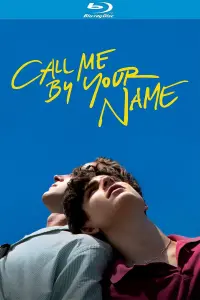 Poster to the movie "Call Me by Your Name" #37232