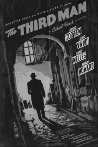 Poster to the movie "The Third Man" #411284