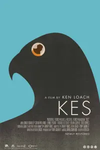 Poster to the movie "Kes" #211583