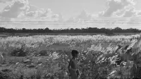 Backdrop to the movie "Pather Panchali" #651866