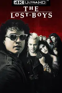 Poster to the movie "The Lost Boys" #113439