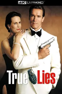 Poster to the movie "True Lies" #242870