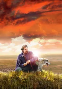 Poster to the movie "Dances with Wolves" #184992