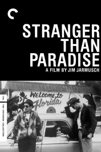 Poster to the movie "Stranger Than Paradise" #237127