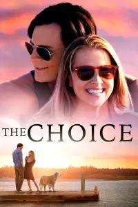 Poster to the movie "The Choice" #138176