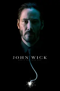 Poster to the movie "John Wick" #51537