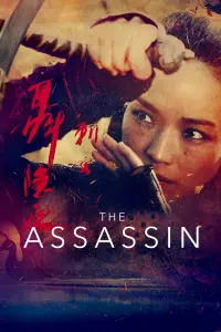 Poster to the movie "The Assassin" #283724