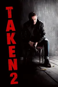 Poster to the movie "Taken 2" #43258