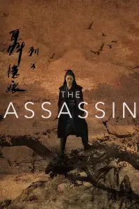 Poster to the movie "The Assassin" #150060