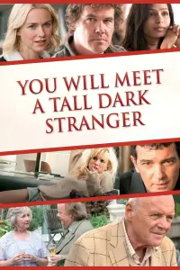 Poster to the movie "You Will Meet a Tall Dark Stranger" #137890