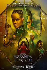 Poster to the movie "Black Panther: Wakanda Forever" #4421