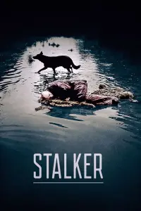 Poster to the movie "Stalker" #44089