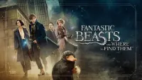 Backdrop to the movie "Fantastic Beasts and Where to Find Them" #25074