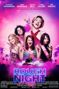 Poster to the movie "Rough Night" #107101