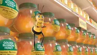 Backdrop to the movie "Bee Movie" #670697