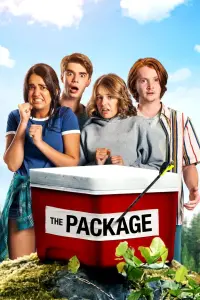 Poster to the movie "The Package" #150693