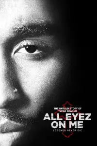 Poster to the movie "All Eyez on Me" #145578