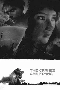 Poster to the movie "The Cranes Are Flying" #181593