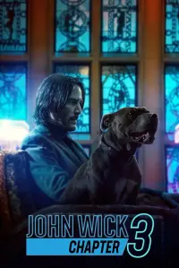 Poster to the movie "John Wick: Chapter 3 - Parabellum" #19409