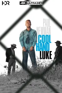 Poster to the movie "Cool Hand Luke" #188484