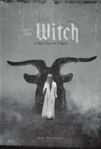 Poster to the movie "The Witch" #371949