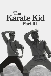 Poster to the movie "The Karate Kid Part III" #325710