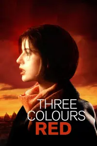 Poster to the movie "Three Colors: Red" #94000