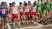 Backdrop to the movie "McFarland, USA" #214824