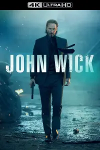 Poster to the movie "John Wick" #51534