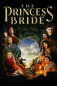 Poster to the movie "The Princess Bride" #202046