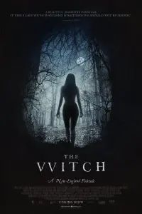 Poster to the movie "The Witch" #66179