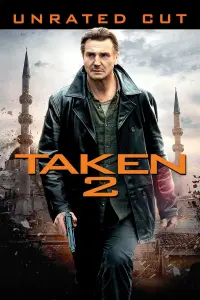 Poster to the movie "Taken 2" #43260