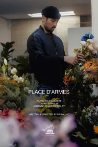 Poster to the movie "Place d