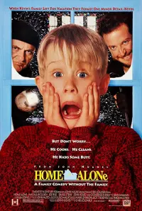 Poster to the movie "Home Alone" #216180