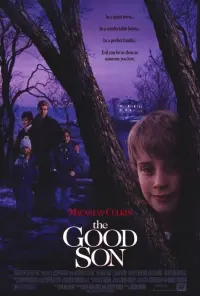 Poster to the movie "The Good Son" #78313