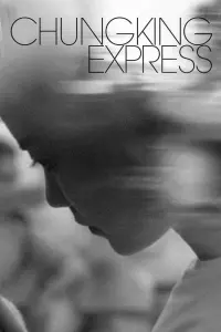 Poster to the movie "Chungking Express" #319568