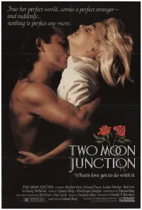 Poster to the movie "Two Moon Junction" #328261