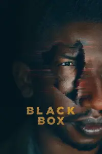 Poster to the movie "Black Box" #133370