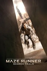 Poster to the movie "Maze Runner: The Scorch Trials" #267383