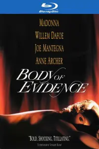 Poster to the movie "Body of Evidence" #337662