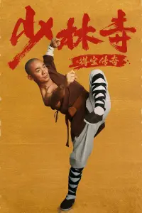 Poster to the movie "Rising Shaolin: The Protector" #687682