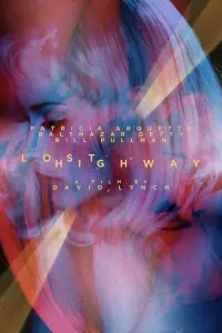 Poster to the movie "Lost Highway" #120875